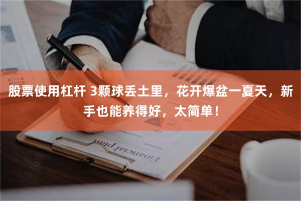 股票使用杠杆 3颗球丢土里，花开爆盆一夏天，新手也能养得好，太简单！