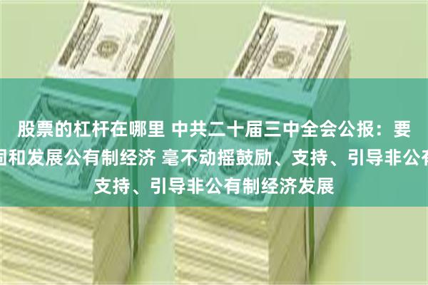 股票的杠杆在哪里 中共二十届三中全会公报：要毫不动摇巩固和发展公有制经济 毫不动摇鼓励、支持、引导非公有制经济发展