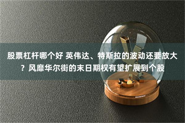 股票杠杆哪个好 英伟达、特斯拉的波动还要放大？风靡华尔街的末日期权有望扩展到个股