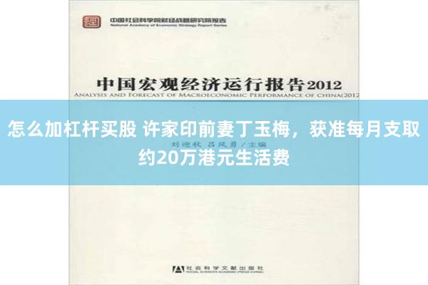 怎么加杠杆买股 许家印前妻丁玉梅，获准每月支取约20万港元生活费