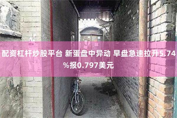 配资杠杆炒股平台 新蛋盘中异动 早盘急速拉升5.74%报0.797美元