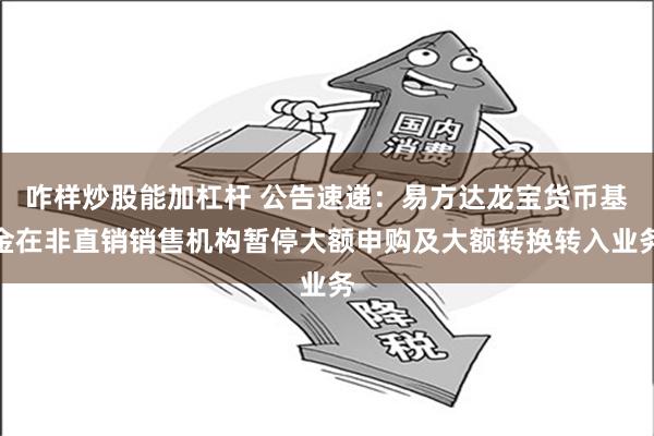 咋样炒股能加杠杆 公告速递：易方达龙宝货币基金在非直销销售机构暂停大额申购及大额转换转入业务