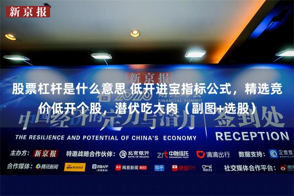 股票杠杆是什么意思 低开进宝指标公式，精选竞价低开个股，潜伏吃大肉（副图+选股）
