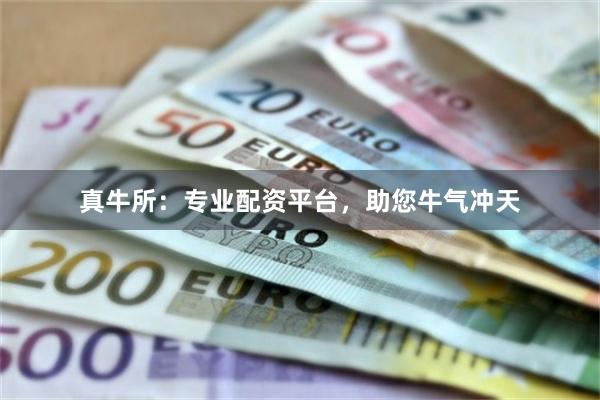 真牛所：专业配资平台，助您牛气冲天