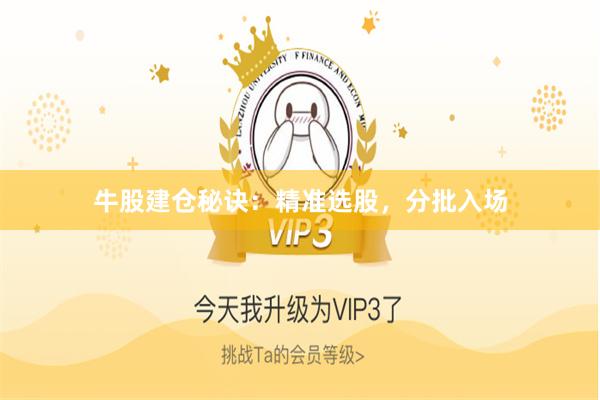 牛股建仓秘诀：精准选股，分批入场