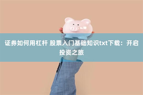 证券如何用杠杆 股票入门基础知识txt下载：开启投资之旅