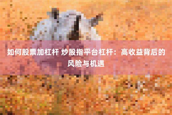 如何股票加杠杆 炒股指平台杠杆：高收益背后的风险与机遇