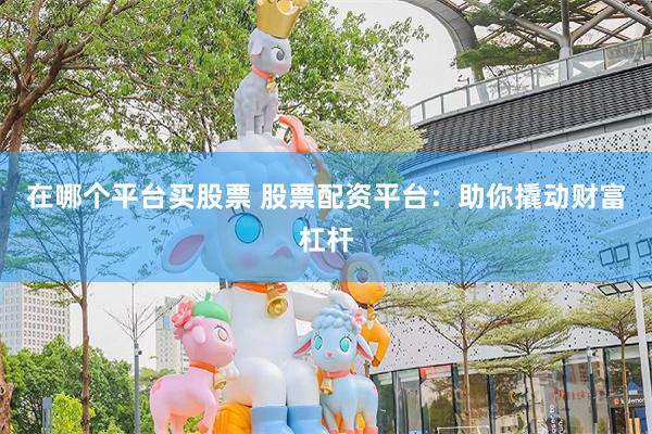在哪个平台买股票 股票配资平台：助你撬动财富杠杆