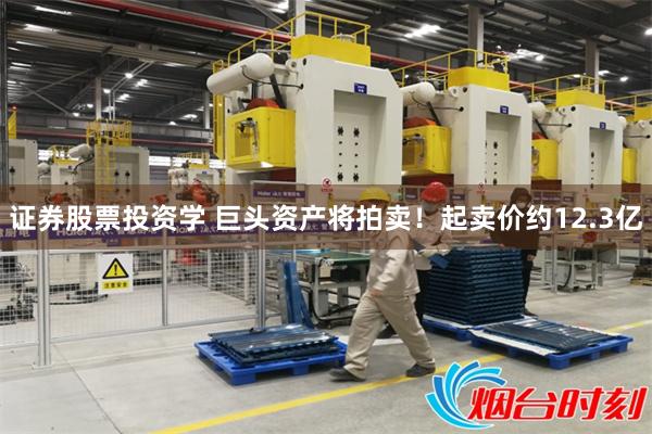证券股票投资学 巨头资产将拍卖！起卖价约12.3亿