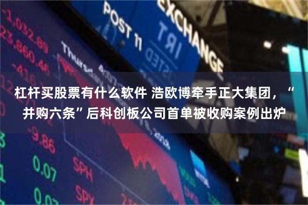 杠杆买股票有什么软件 浩欧博牵手正大集团，“并购六条”后科创板公司首单被收购案例出炉