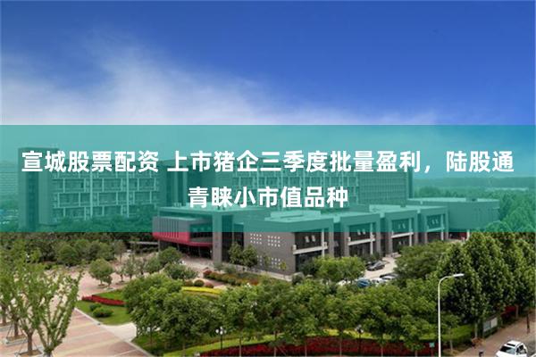 宣城股票配资 上市猪企三季度批量盈利，陆股通青睐小市值品种