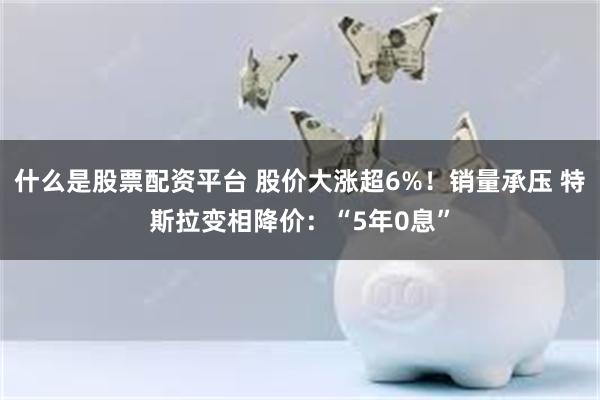 什么是股票配资平台 股价大涨超6%！销量承压 特斯拉变相降价：“5年0息”