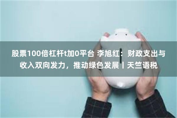 股票100倍杠杆t加0平台 李旭红：财政支出与收入双向发力，推动绿色发展丨天竺语税