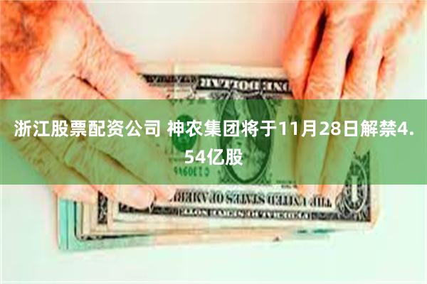 浙江股票配资公司 神农集团将于11月28日解禁4.54亿股