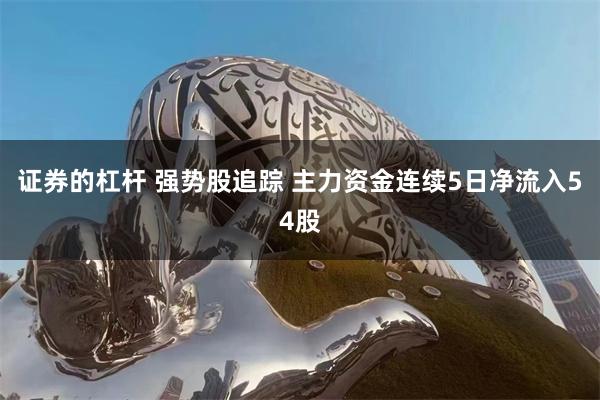 证券的杠杆 强势股追踪 主力资金连续5日净流入54股