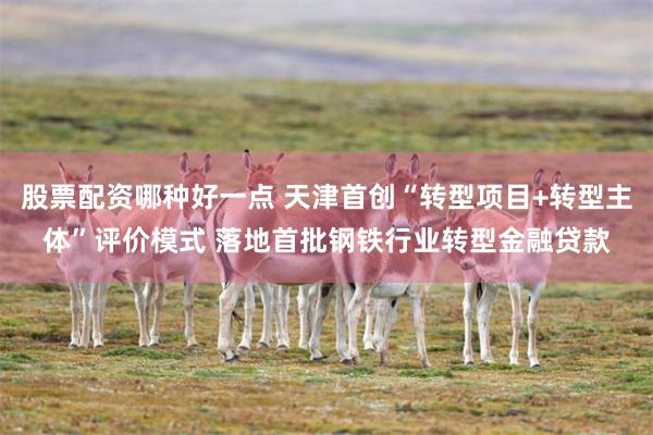 股票配资哪种好一点 天津首创“转型项目+转型主体”评价模式 落地首批钢铁行业转型金融贷款