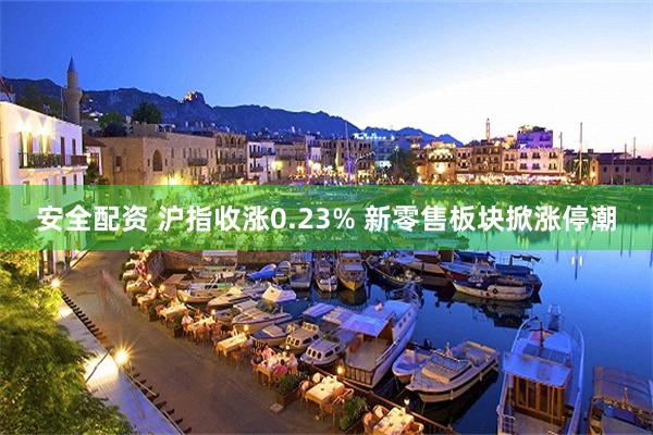 安全配资 沪指收涨0.23% 新零售板块掀涨停潮