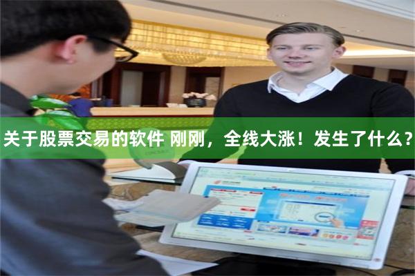 关于股票交易的软件 刚刚，全线大涨！发生了什么？