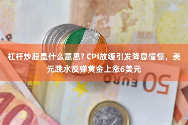 杠杆炒股是什么意思? CPI放缓引发降息憧憬，美元跳水反弹黄金上涨6美元