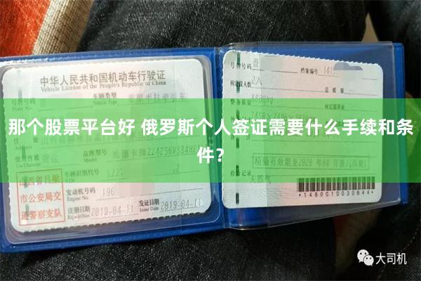 那个股票平台好 俄罗斯个人签证需要什么手续和条件？