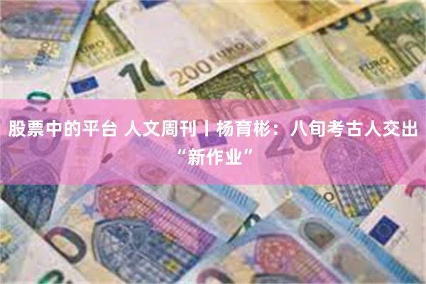 股票中的平台 人文周刊丨杨育彬：八旬考古人交出“新作业”