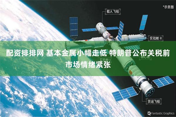 配资排排网 基本金属小幅走低 特朗普公布关税前市场情绪紧张