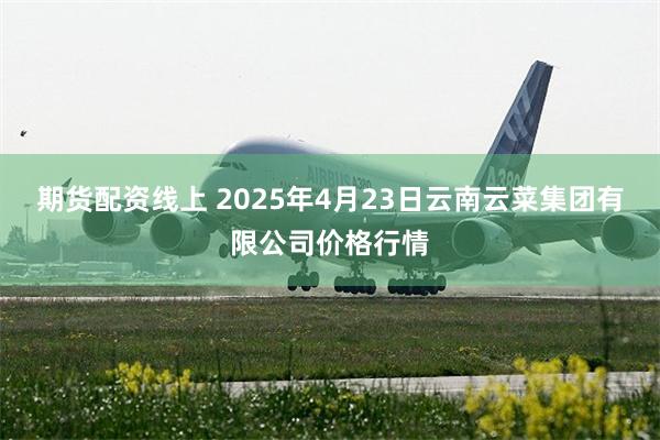 期货配资线上 2025年4月23日云南云菜集团有限公司价格行情