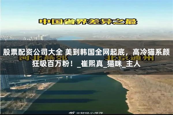 股票配资公司大全 美到韩国全网起底，高冷猫系颜狂吸百万粉！_崔熙真_猫咪_主人