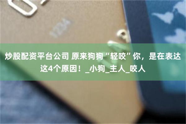炒股配资平台公司 原来狗狗“轻咬”你，是在表达这4个原因！_小狗_主人_咬人