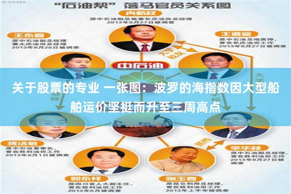 关于股票的专业 一张图：波罗的海指数因大型船舶运价坚挺而升至三周高点