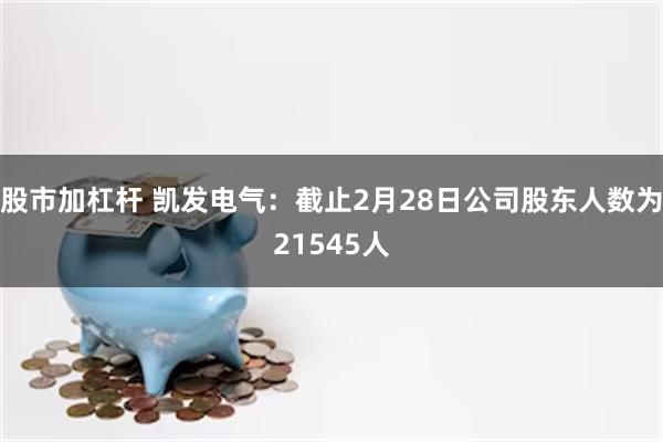 股市加杠杆 凯发电气：截止2月28日公司股东人数为21545人
