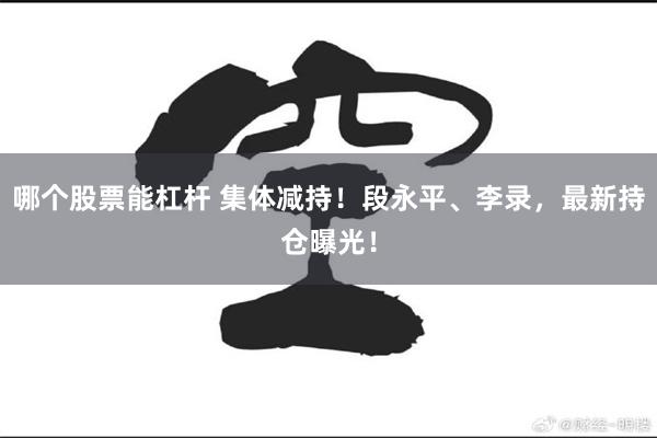 哪个股票能杠杆 集体减持！段永平、李录，最新持仓曝光！