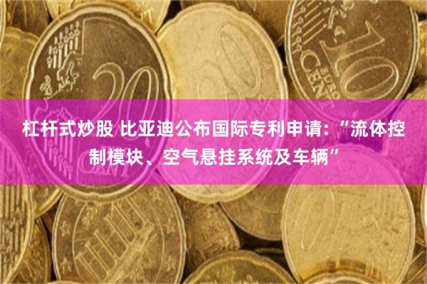 杠杆式炒股 比亚迪公布国际专利申请: “流体控制模块、空气悬挂系统及车辆”