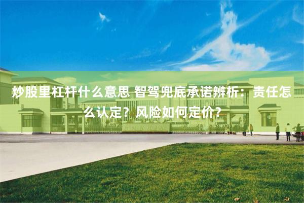 炒股里杠杆什么意思 智驾兜底承诺辨析：责任怎么认定？风险如何定价？