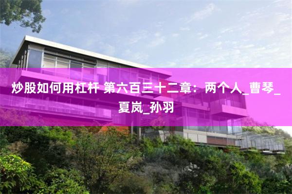 炒股如何用杠杆 第六百三十二章：两个人_曹琴_夏岚_孙羽