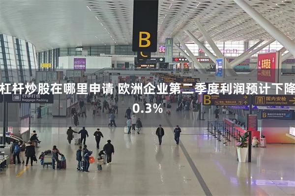 杠杆炒股在哪里申请 欧洲企业第二季度利润预计下降0.3%