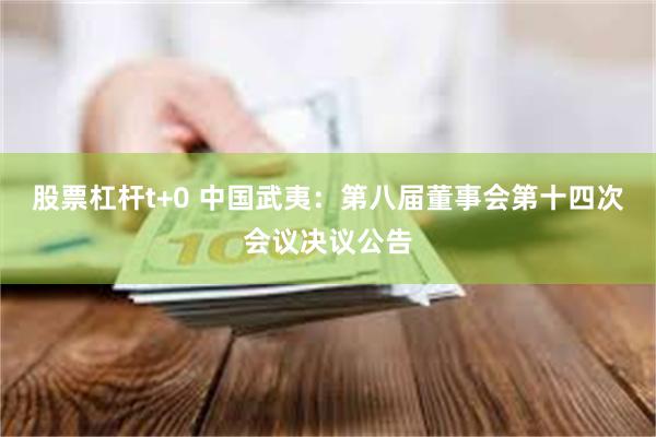 股票杠杆t+0 中国武夷：第八届董事会第十四次会议决议公告
