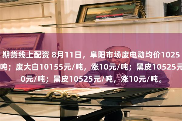 期货线上配资 8月11日，阜阳市场废电动均价10255元/吨，涨30元/吨；废大白10155元/吨，涨10元/吨；黑皮10525元/吨，涨10元/吨。