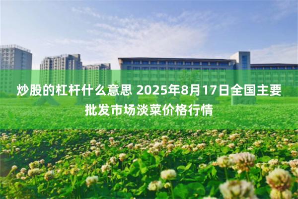 炒股的杠杆什么意思 2025年8月17日全国主要批发市场淡菜价格行情