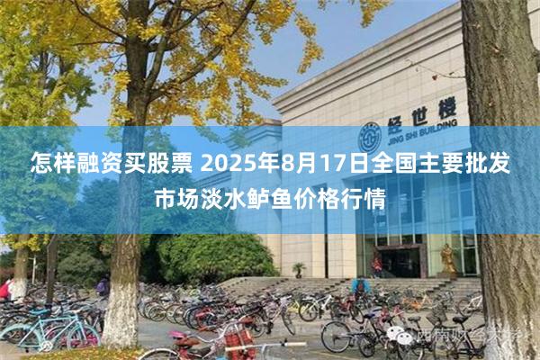 怎样融资买股票 2025年8月17日全国主要批发市场淡水鲈鱼价格行情