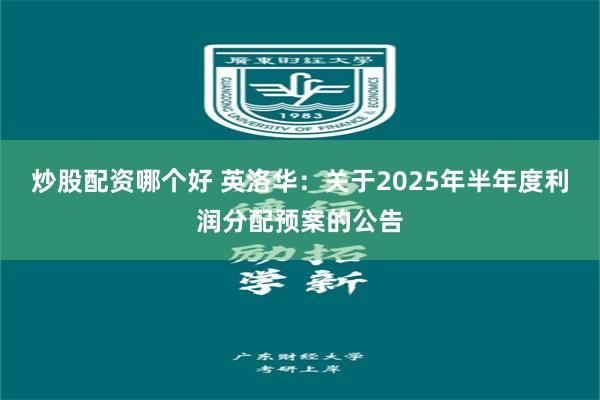 炒股配资哪个好 英洛华：关于2025年半年度利润分配预案的公告