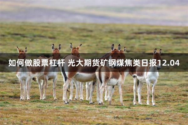 如何做股票杠杆 光大期货矿钢煤焦类日报12.04